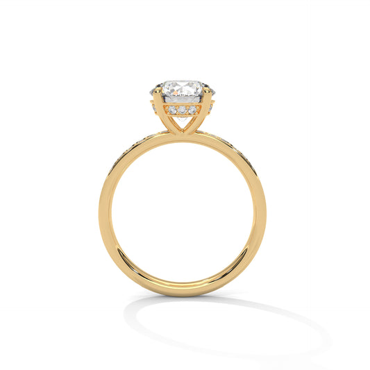 Round Hidden Halo Engagement Ring with Eternity Band DM-041