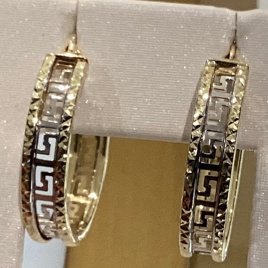 10K W-Y Gold Earrings 3.34g