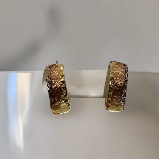 10K Tri-Gold Earrings 1.43g