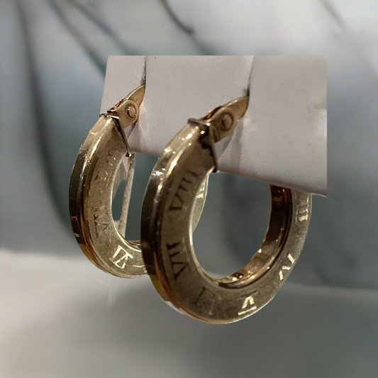 10K Y Gold Earrings 2.0g